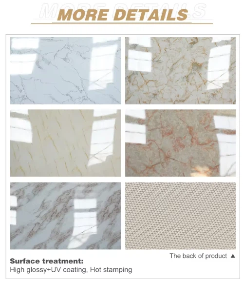 product-499-578 product-499-578